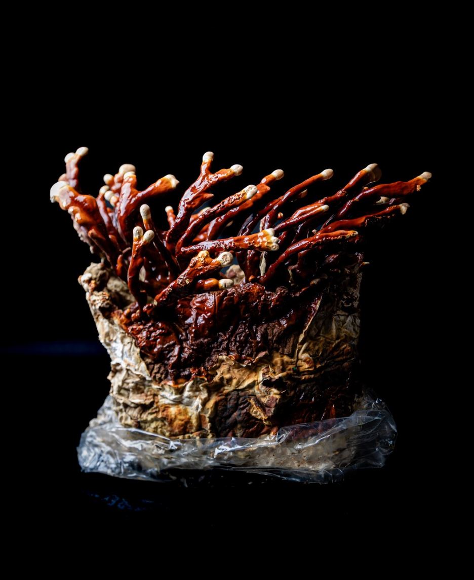 Extrait de Reishi